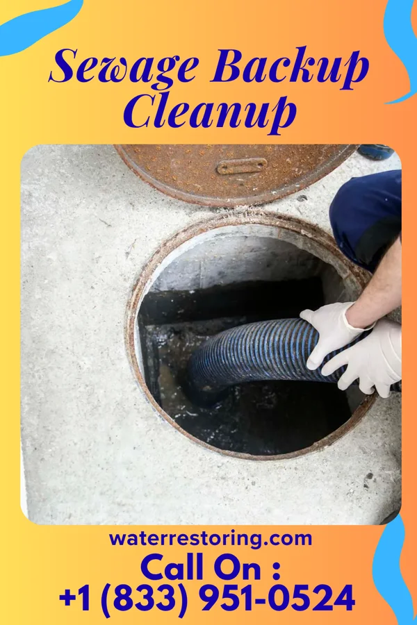 Sewage Backup Cleanup in Inman, SC
