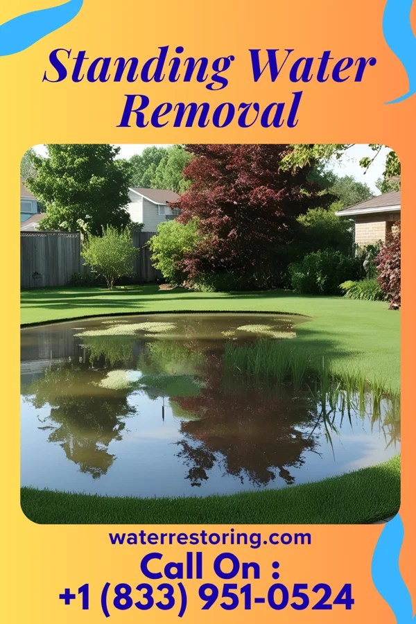 Standing Water Removal in Inman, SC